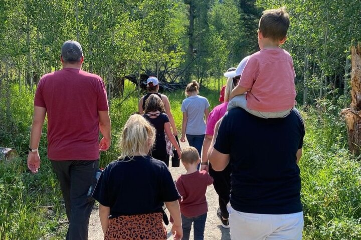 Guided Hiking Adventure in Yellowstone with Lunch  - Photo 1 of 4